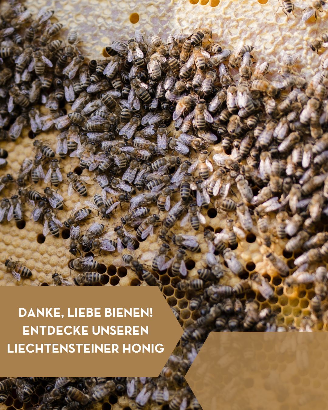 Liechtensteiner Bienenhonig